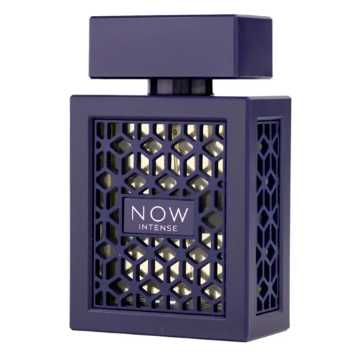 Now Intense by Rave 100ml EDP