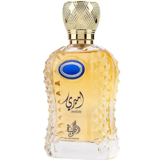 Ameeri Perfume Man Al Wataniah 100ml Eau de parfum For Him Fragrances Night Mans