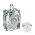 Clear perfume bottle with silver cap on a white background
