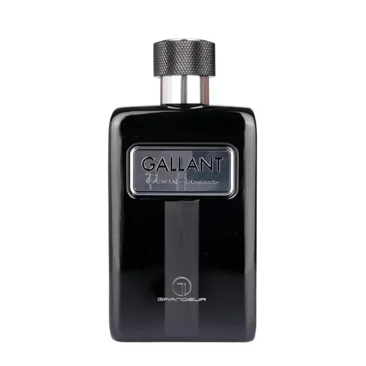 Gallant Perfume Man Edp 100ml For Him Grandeur Elite energy aromatic Him