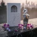 Maahir Legacy Perfume bottle on rain-wet marble with orchid petals and soft city reflection – femininee sweet fragrance