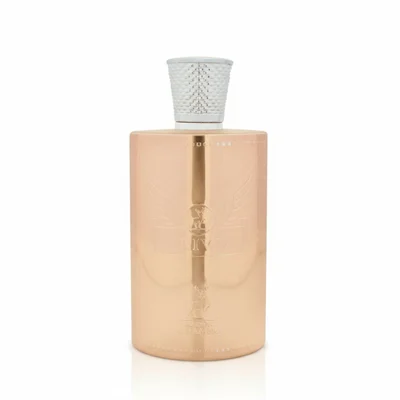 Zimaya Infrad Noir 100ml EDP men – fragrance masculine spicy & luxurious