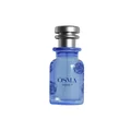 Blue perfume bottle with silver cap on a white background