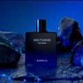 Perfume Nocturno Rayhaan – modern woody aromatic men's fragrance suitable for all occasions